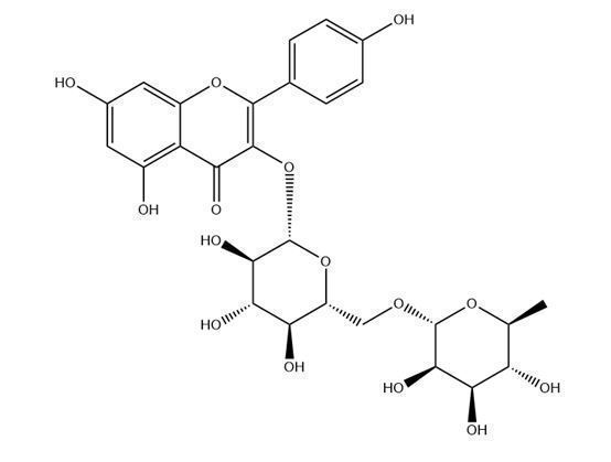 山柰酚-3-O-蕓香糖苷