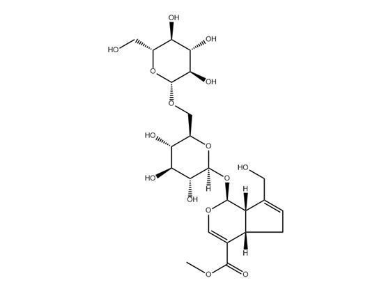 京尼平龍膽雙糖苷