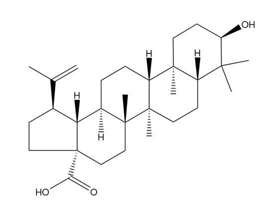 表白樺脂酸