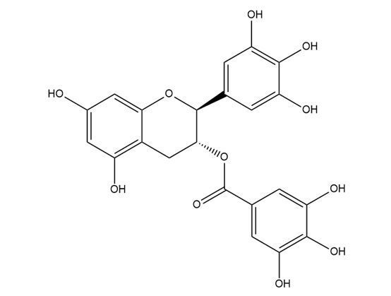沒食子兒茶素沒食子酸酯