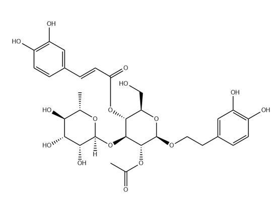 乙酰基毛蕊花糖苷